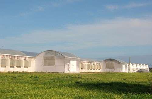 Nuevas instalaciones de Syngenta Bioline en la localidad portuguesa de Faro