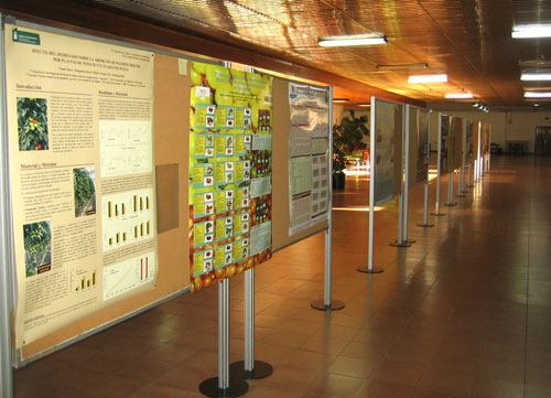 Vista parcial de los psteres con los trabajos presentados durante el XL Seminario de Tcnicos y Especialistas en Horticultura...