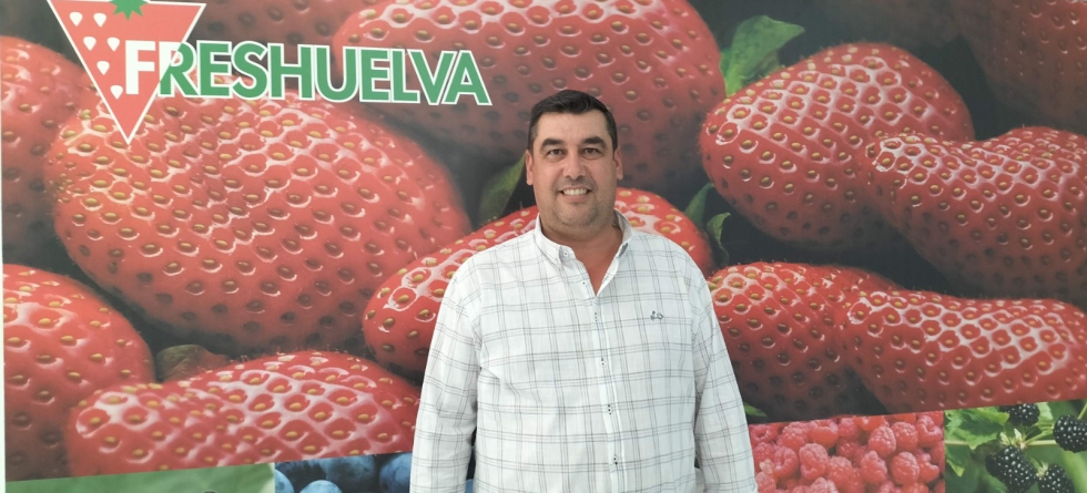 Francisco Jos Gmez, presidente de Freshuelva, asociacin que representa al 95% del sector onubense de los berries