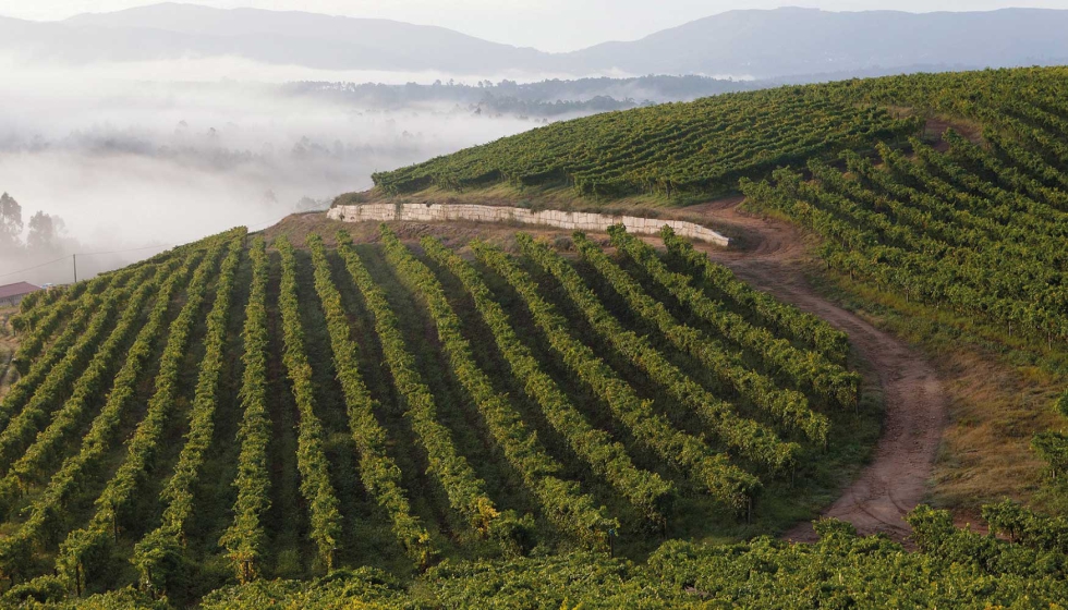 Con este sello son ya tres las bodegas del grupo Masaveu Bodegas (Murua, Pagos de Araiz y Fillaboa) en tener este certificado sostenible...