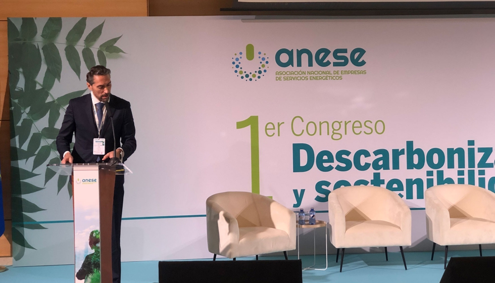 Carlos Ballesteros, director general de Anese