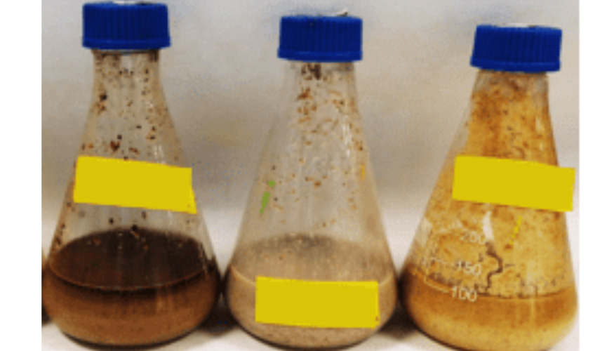 Imagen 4. Productos de la fermentacin en matraz de cada residuo en el proyecto ESENCIAL...
