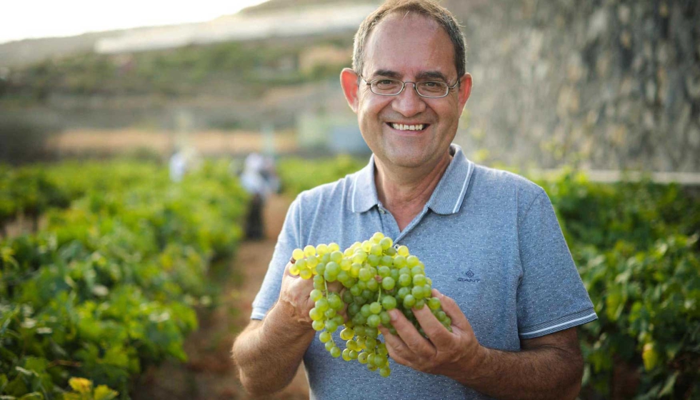 Juan Jess Mndez, nuevo presidente de la DOP Islas Canarias  Canary Wine
