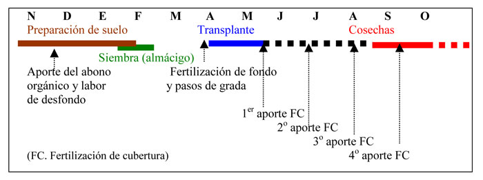 Figura 2: El calendario y manejo de los cultivos de ora en la regin de Tadla
