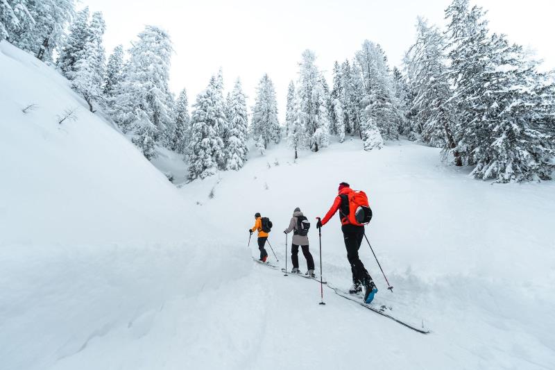 Pantalones de Esquí : Esquí Alpino, Esquí de Travesía, Esquí de Fondo