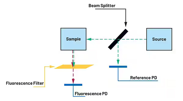 Figura 7: Trayectoria ptica para la medicin de la fluorescencia...