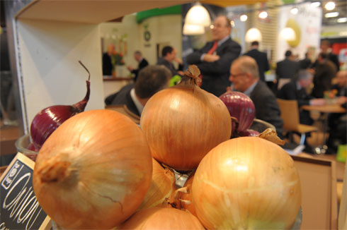El stand de Bejo acogi las ltimas variedades desarrolladas por la compaa holandesa