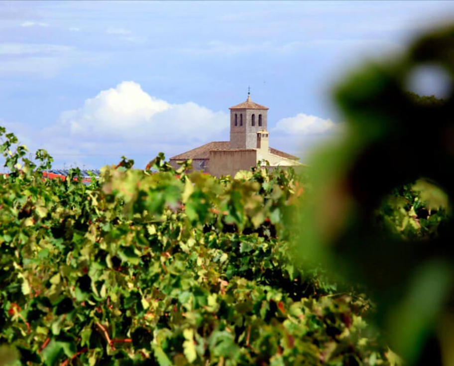 Cooperativa Nuestra Seora del Rosario-Bodegas Campos Reales