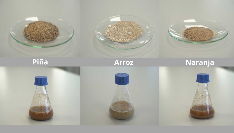 Foto de Nuevos procesos biotecnológicos para transformar residuos y subproductos de piña, naranja y arroz en precursores de materiales de packaging biodegradables e ingredientes para cosmética