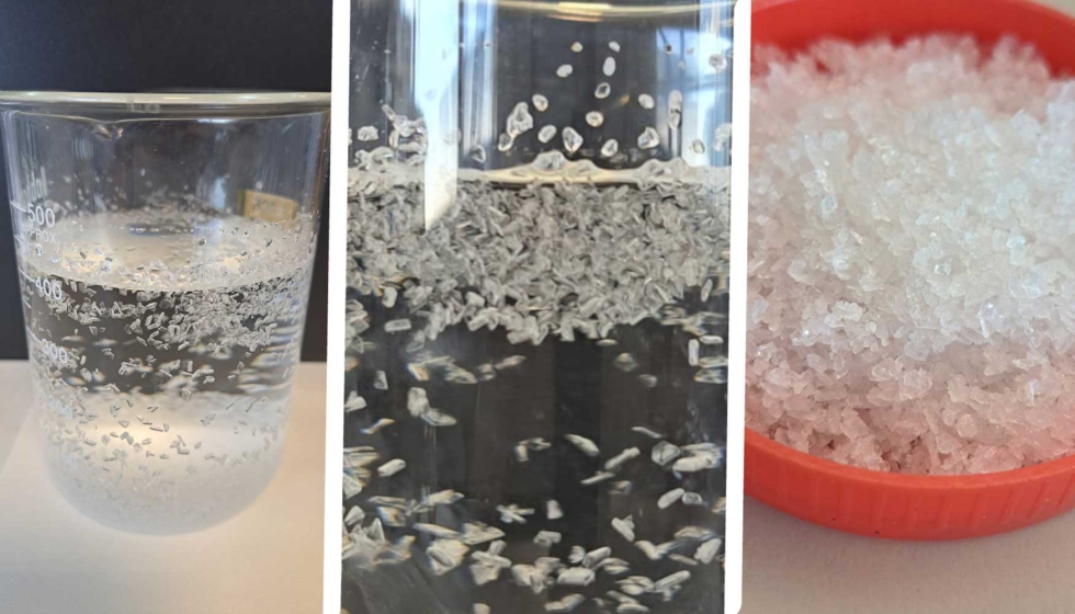 Cristales de cido succnico obtenido en el proyecto ESENCIAL. Foto: Itene