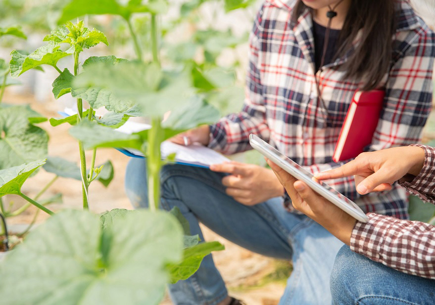 Los agricultores pueden utilizar de forma voluntaria esta herramienta desde el 1 de enero