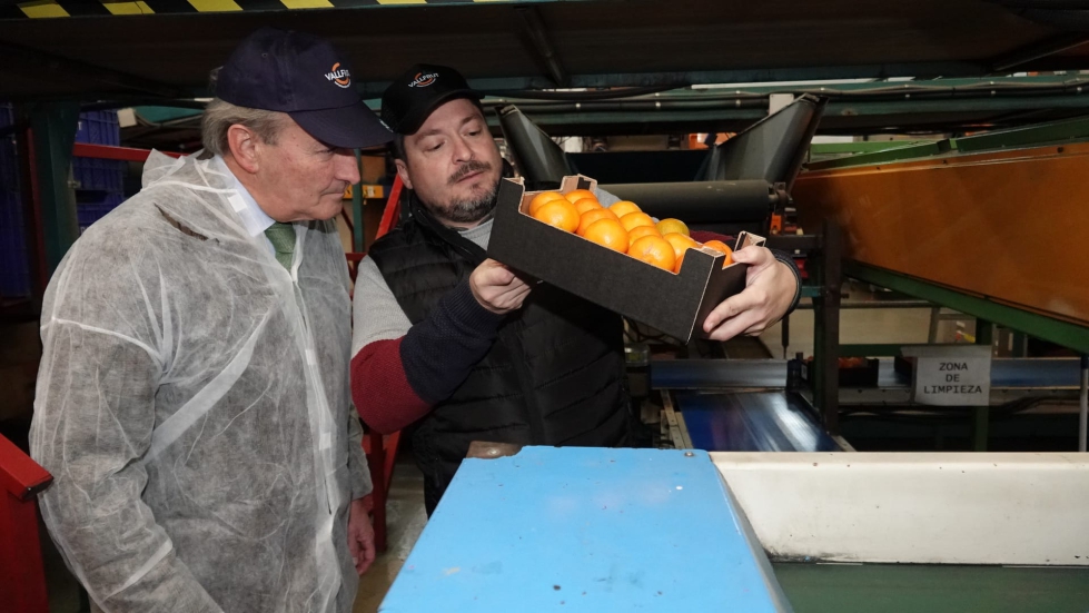El conseller de Agricultura de la Generalitat Valenciana visita la cooperativa Vallfrut de la Vall d’Uixó... El conseller de Agricultura de la Generalitat Valenciana visita la cooperativa Vallfrut de la Vall d’Uixó...