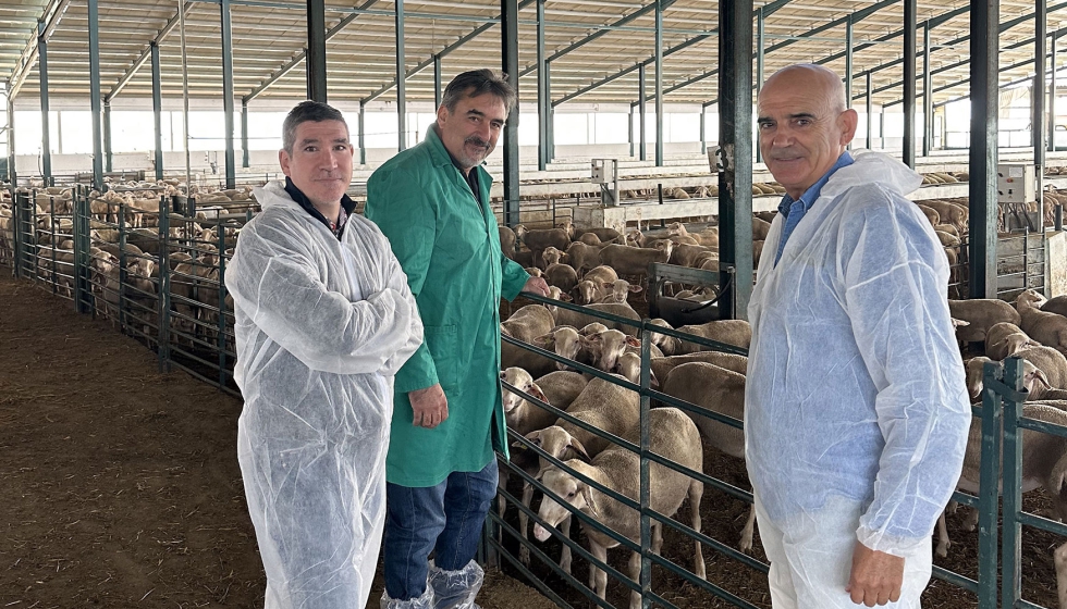 Joaqun Cuadrado, director general de Ordenacin Agropecuaria del Gobierno de Castilla-La Mancha, visita una explotacin ovina...