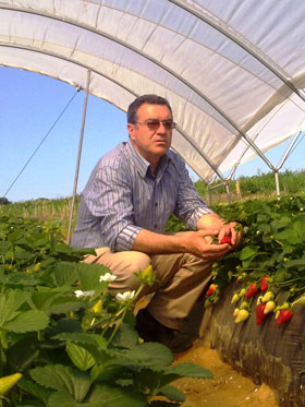 Miguel ngel Hidalgo, director de I+D de Planasa