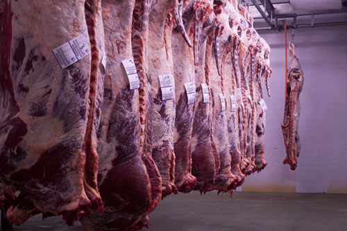 Meat preferred by the public include the pigmeat and poultry; While the lower consumption are those of cattle and sheep