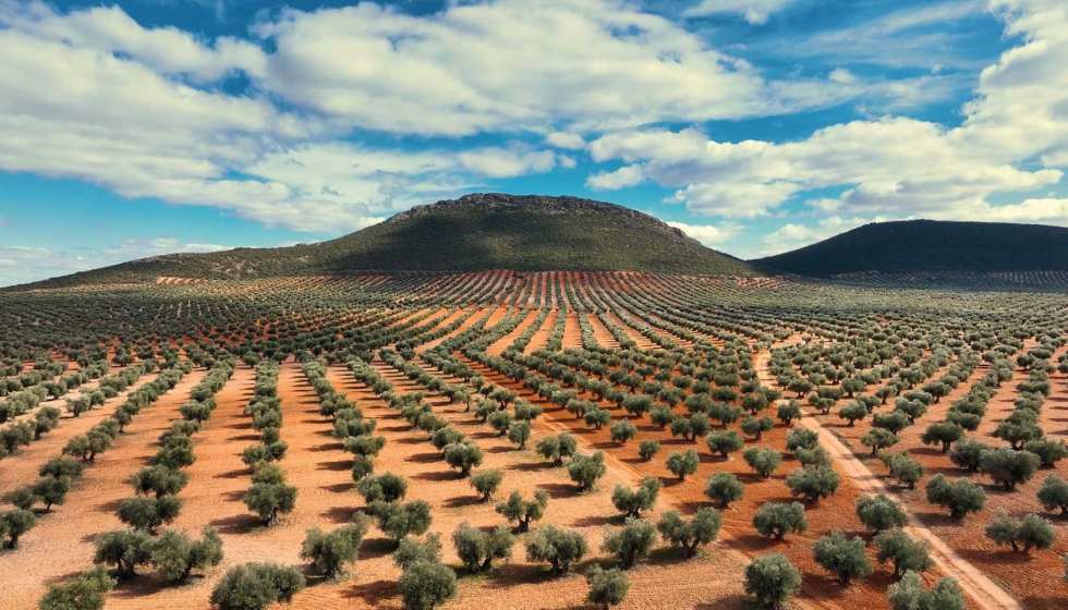 Los materiales de desecho se obtuvieron de olivares de Andaluca (Espaa)