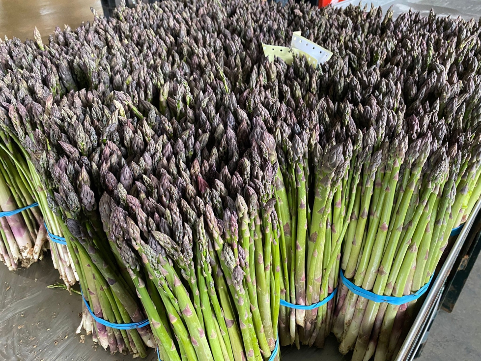 La Federaci�n de cooperativas de Granada y la Interprofesional del Esp�rrago Verde hab�an solicitado al Ministerio esta modificaci�n que favorece a...