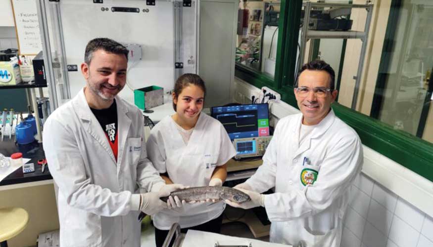 Grupo investigador premiado por el proyecto PARAFree