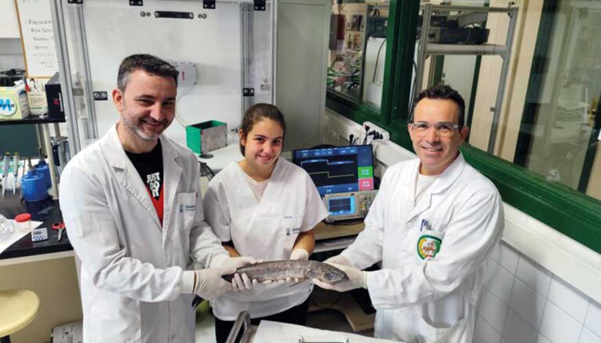 Grupo investigador premiado por el proyecto PARAFree