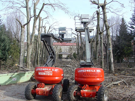 Two cranes used for pruning