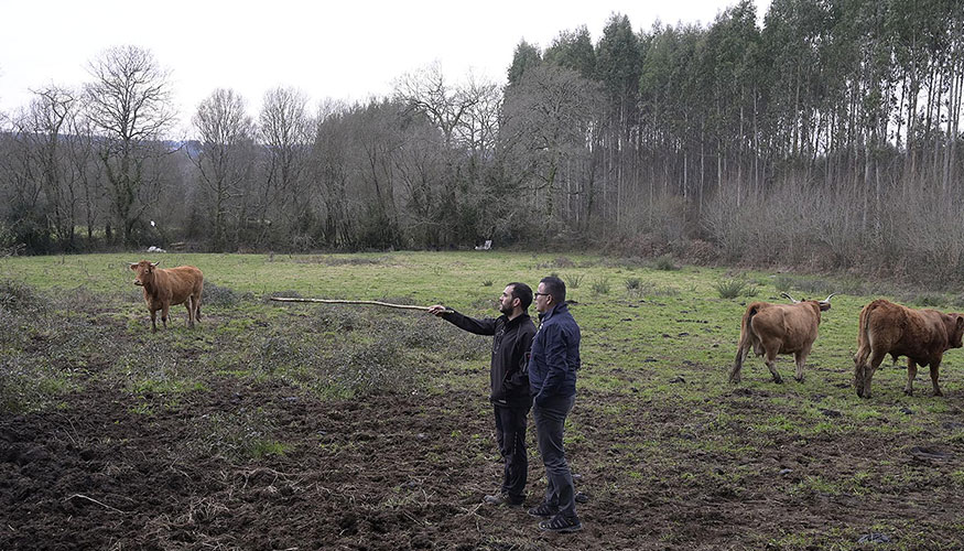 Visita del conselleiro Jos Gonzlez a una explotacin ganadera de vacuno de carne en la localidad coruesa de Curtis