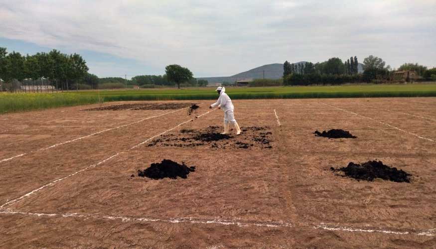 Fertilizacin del suelo con lodos de EDAR (Foto: IRTA)