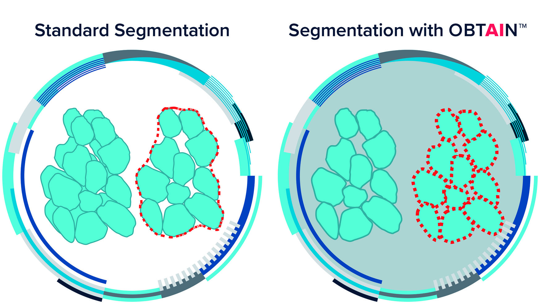 Segmentacin estndar y segmentacin con Obtain