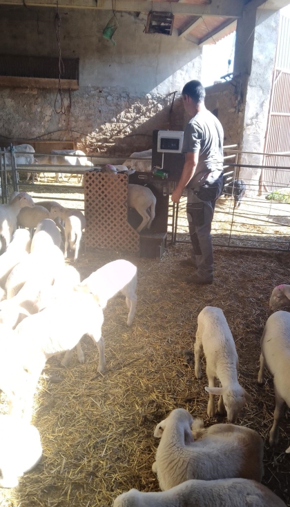 B�scula en funcionamiento en una granja