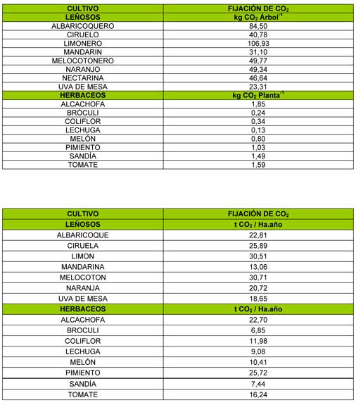 Tabla 4: Fijacin de CO2 por rbol o planta de los principales cultivos hortofrutcolas de la Regin de Murcia