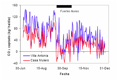 Figura 14: Tasa diaria de captacin de CO2 (en kg...