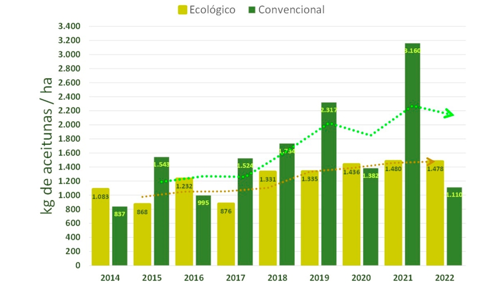 Figura 6. Productividad comparada entre el olivar convencional y el olivar ecolgico. Fuente: MAPA
