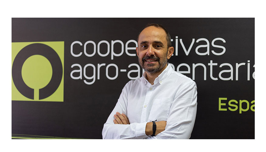 Juan Sagarna, director del departamento de Sostenibilidad, Calidad e Innovacin de Cooperativas Agro-alimentarias de Espaa...
