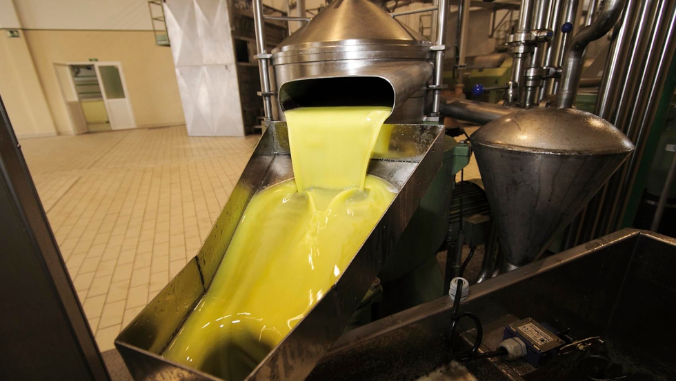 Produccin de aceite de oliva virgen extra en almazara. Fuente Asaja Jan