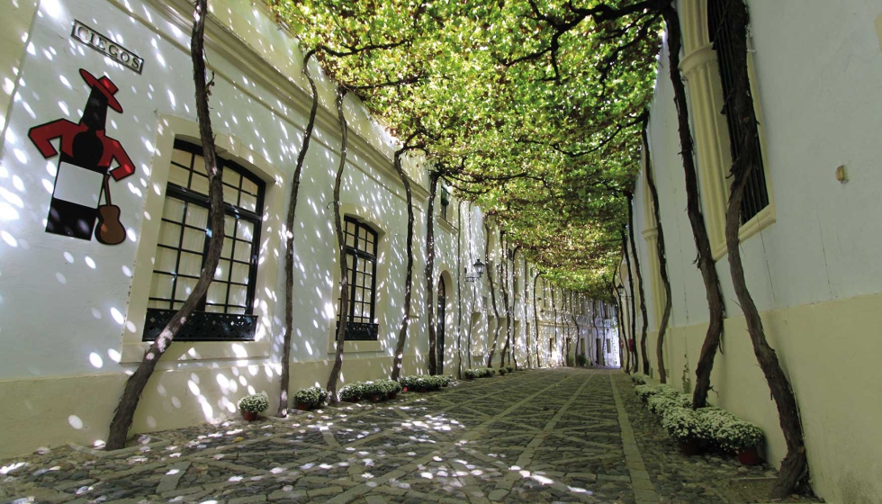 Bodegas Gonzlez Byass en Jerez de la Frontera (Cdiz)