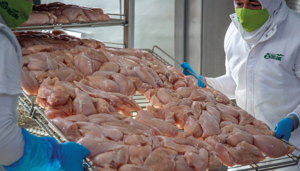 Las pechugas de pollo se descongelan sin prdida alguna en la calidad o el rendimiento