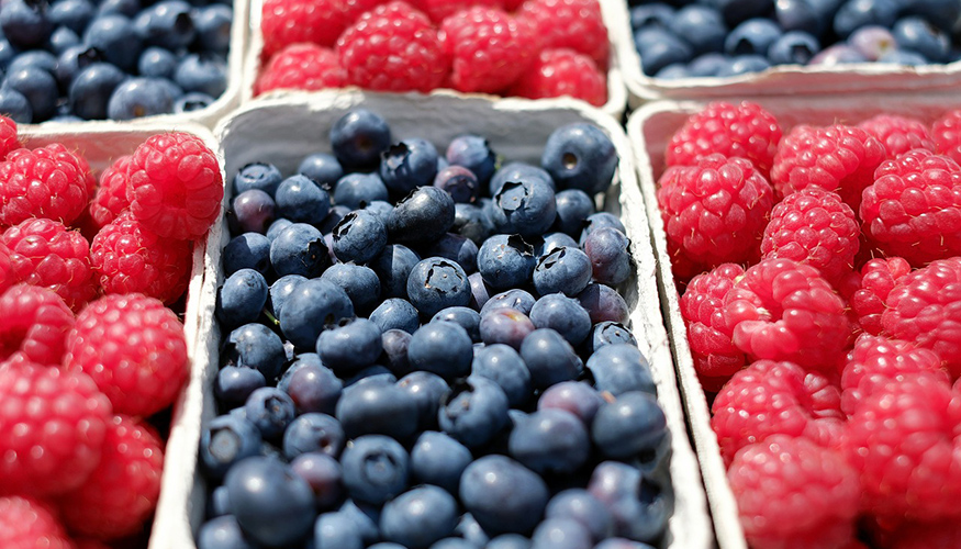 La metodologa realiza el anlisis in situ de la actividad antioxidante de frutos rojos. Imagen: Pixabay