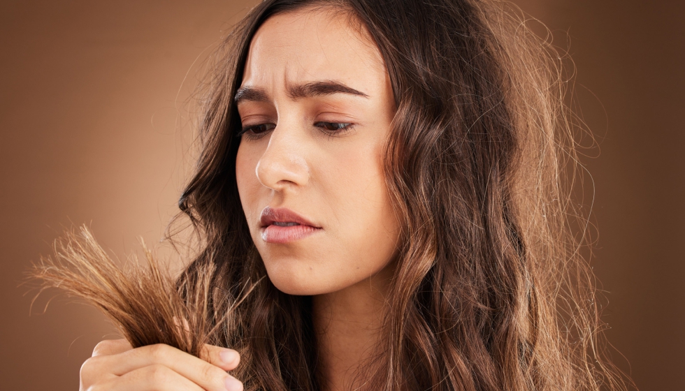Foto de Cómo frenar la sequedad del cabello: hábitos a seguir para devolver la vitalidad