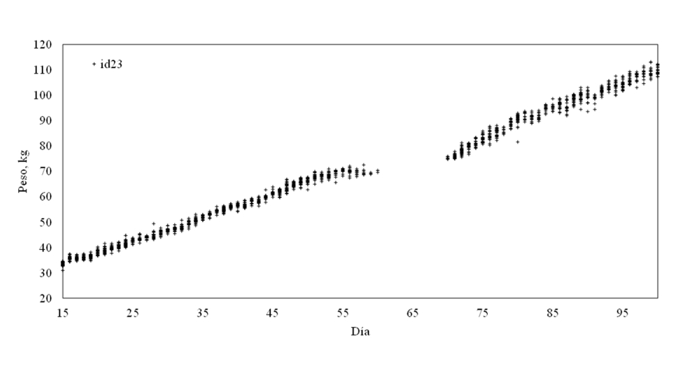 Figura 1. Representacin de todas las medidas diarias de peso vivo del animal