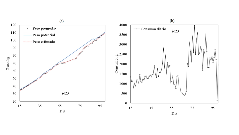 Figura 2. Medidas de peso y consumo diario del animal id23