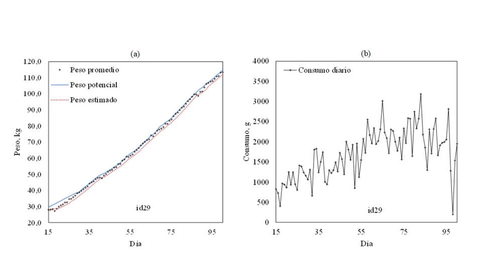 Figura 3. Medidas de peso del animal id29