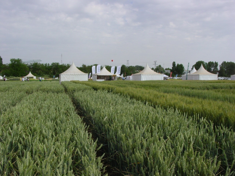 La Jornada de Campo se desarrollar en la Finca Zamadueas de ITACyL en Valladolid