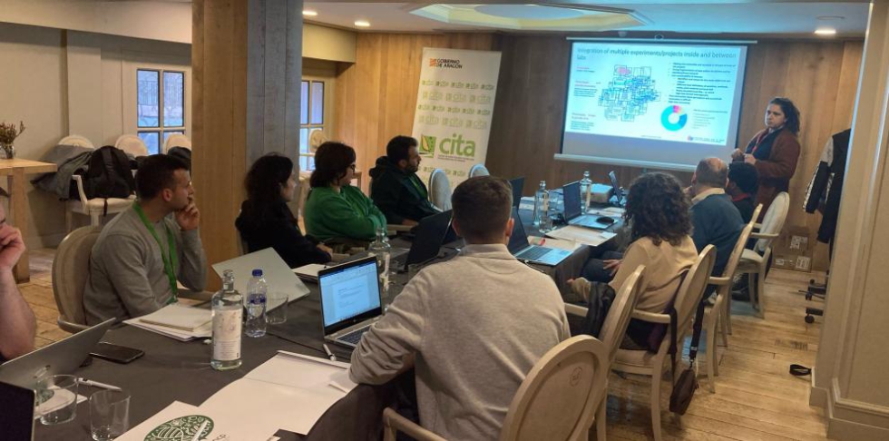 Investigadores del CITA organizan un curso de formación y una reunión sobre el control de la calidad de la fruta Investigadores del CITA organizan un curso de formación y una reunión sobre el control de la calidad de la fruta