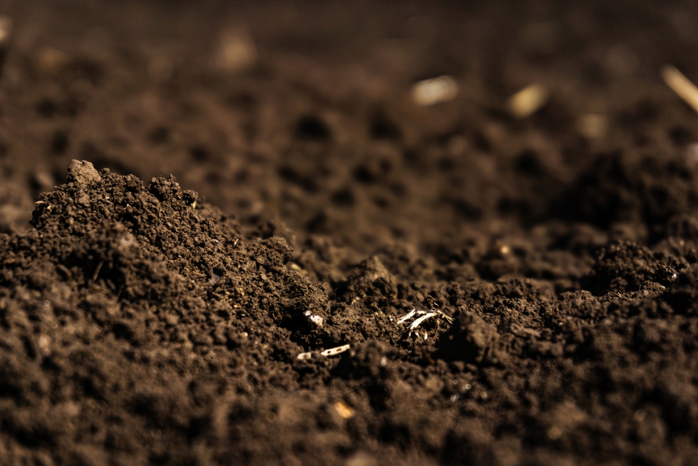 La base de datos de Biome Makers alcanza ms de 24 millones de microorganismos para descifrar la biologa del suelo...