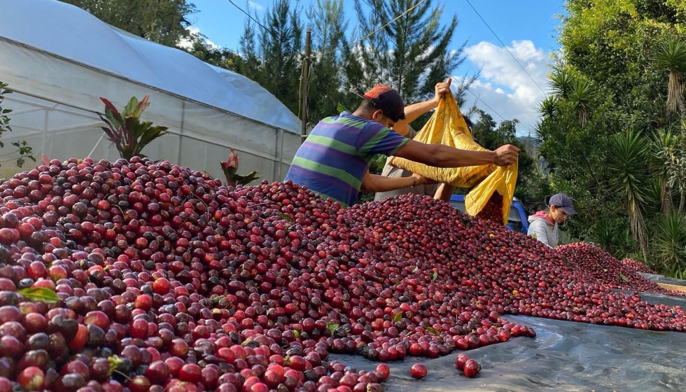 Syra Lab es una iniciativa de Syra Coffee que persigue el desarrollo de conexiones directas entre fincas y productores para materializar un comercio...