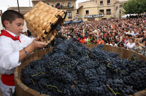 Adems de establecimientos, bodegas y viedos...