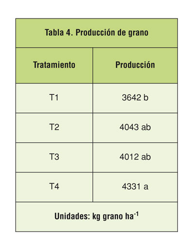 Tabla 4: Produccin de grano