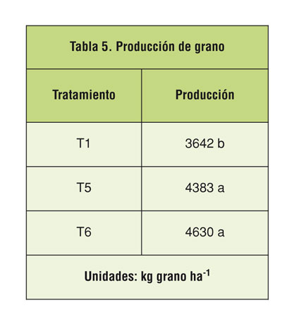 Tabla 5: Produccin de grano