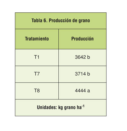 Tabla 6: Produccin de grano