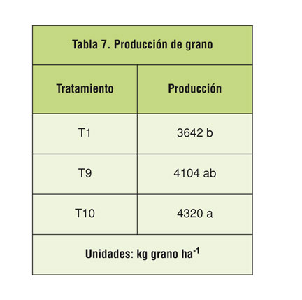 Tabla 7: Produccin de grano