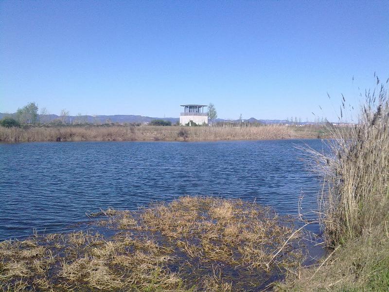 Instantnea del Delta del Llobregat (FOTO: naturaaproplh.blogspot.com